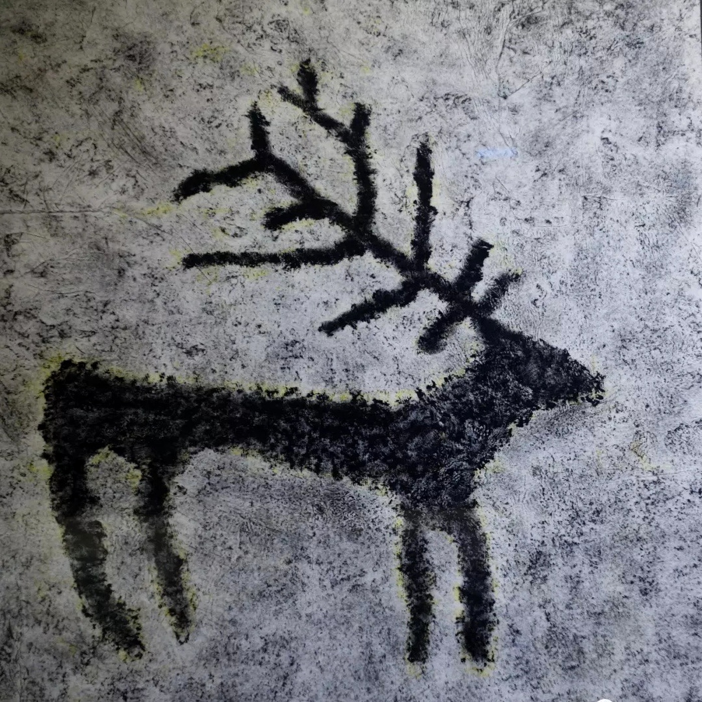 Tolqyn / Waves — deer on a textured grey background